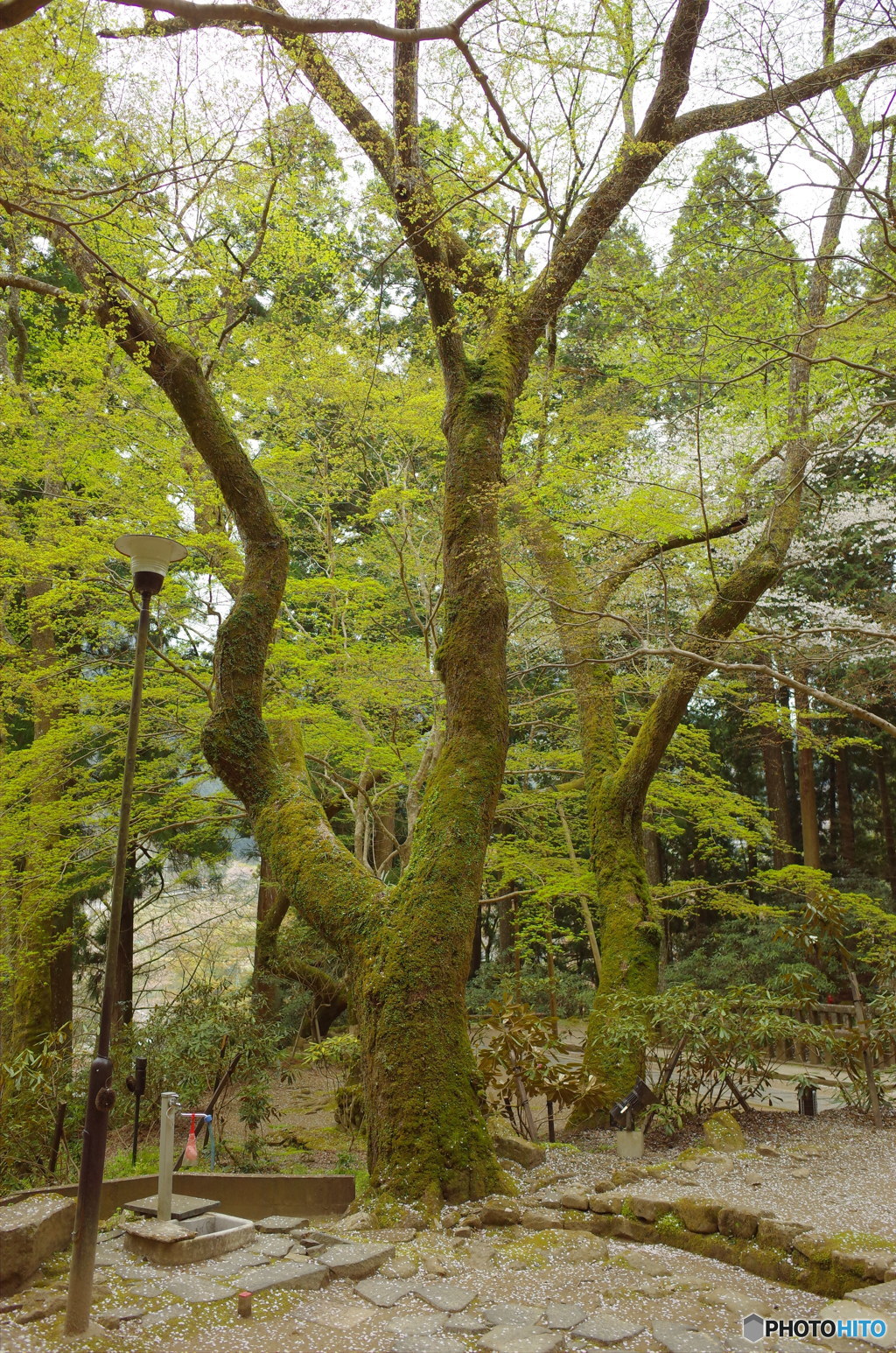 R0004805