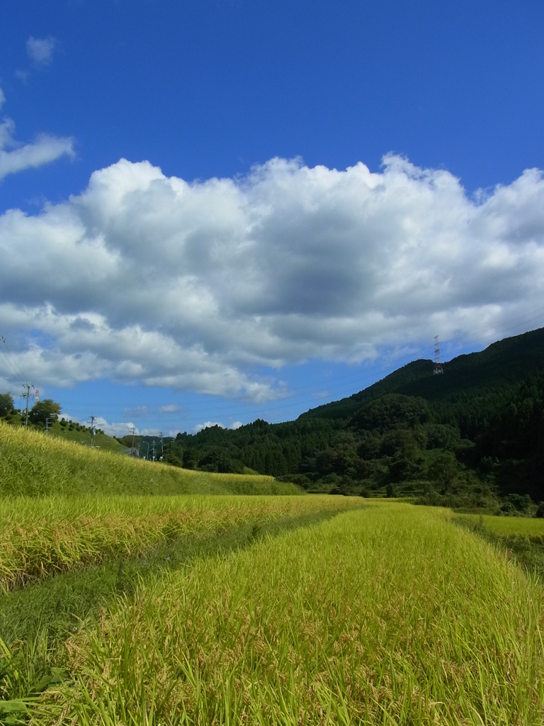 棚田と空。