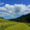 棚田と空。