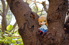 木登りをしてみたよ