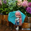 雨の日のお出かけ