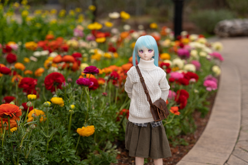 ドールフォトグラフィー