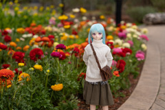 ドールフォトグラフィー