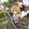 咲き始めたね