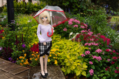 雨のフラリエ ２