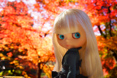 Fall　and　 Blythe 2