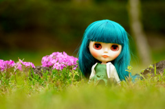 花とBlythe