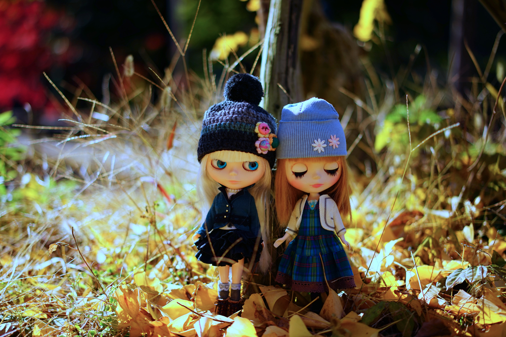 Fall  and  Blythe 