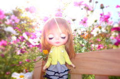 ひかり