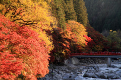 秋の香嵐渓