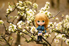 春の足音
