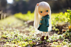 大好きだよ
