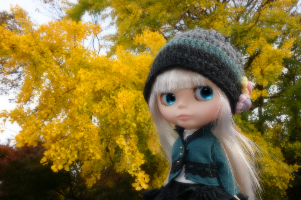 晩秋