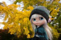 晩秋