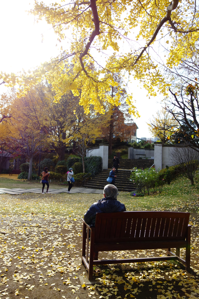 初冬のある日の光景