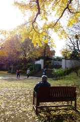 初冬のある日の光景