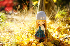 Fall　and　 Blythe 3　