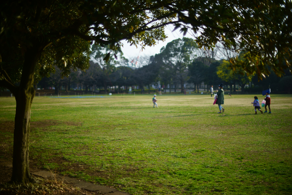 公園