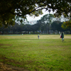 公園