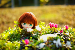 langage des fleurs
