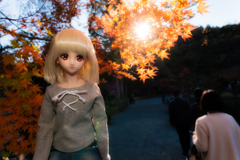 Doll and Autumn leaves