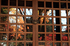 紅葉