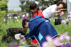 アメンボ　いるかなぁ？