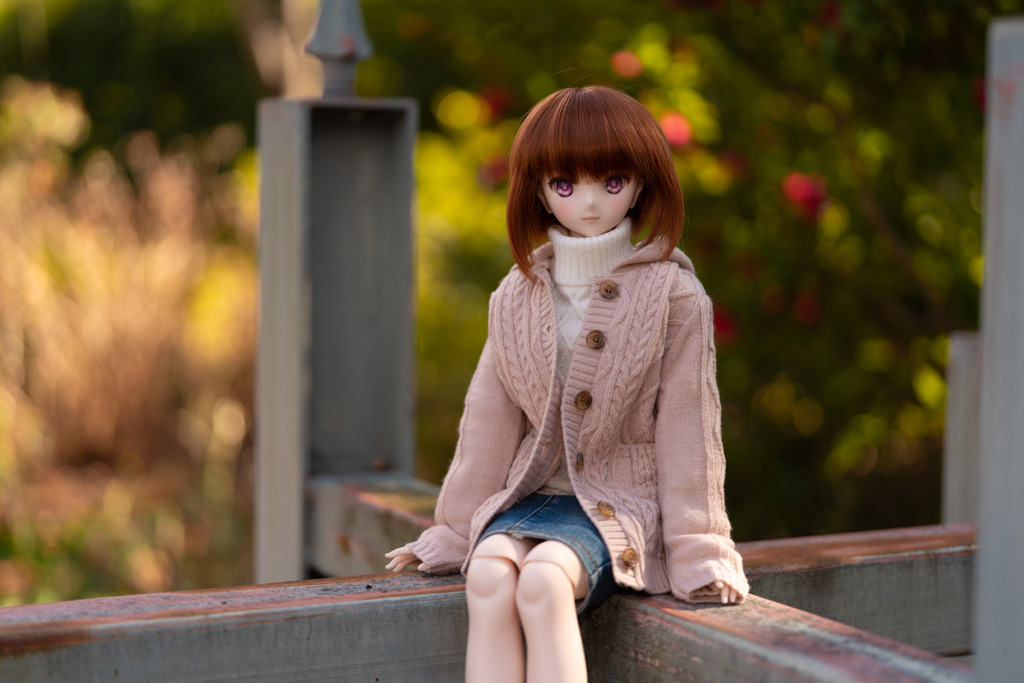 ドールフォトグラフィー
