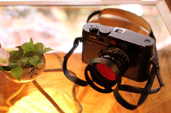 久々のLeica M8