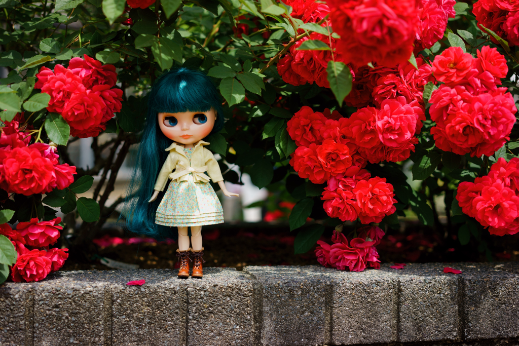 Crimson de la passion