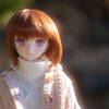 ドールフォトグラフィー
