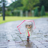 雨の日