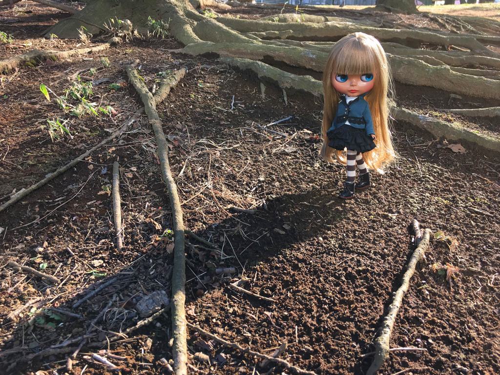 短い冬の陽