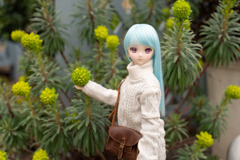 ドールフォトグラフィー
