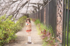 ことばかぜ ふわり おもいとどけ
