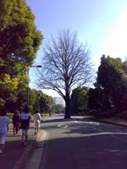 20070221024_R