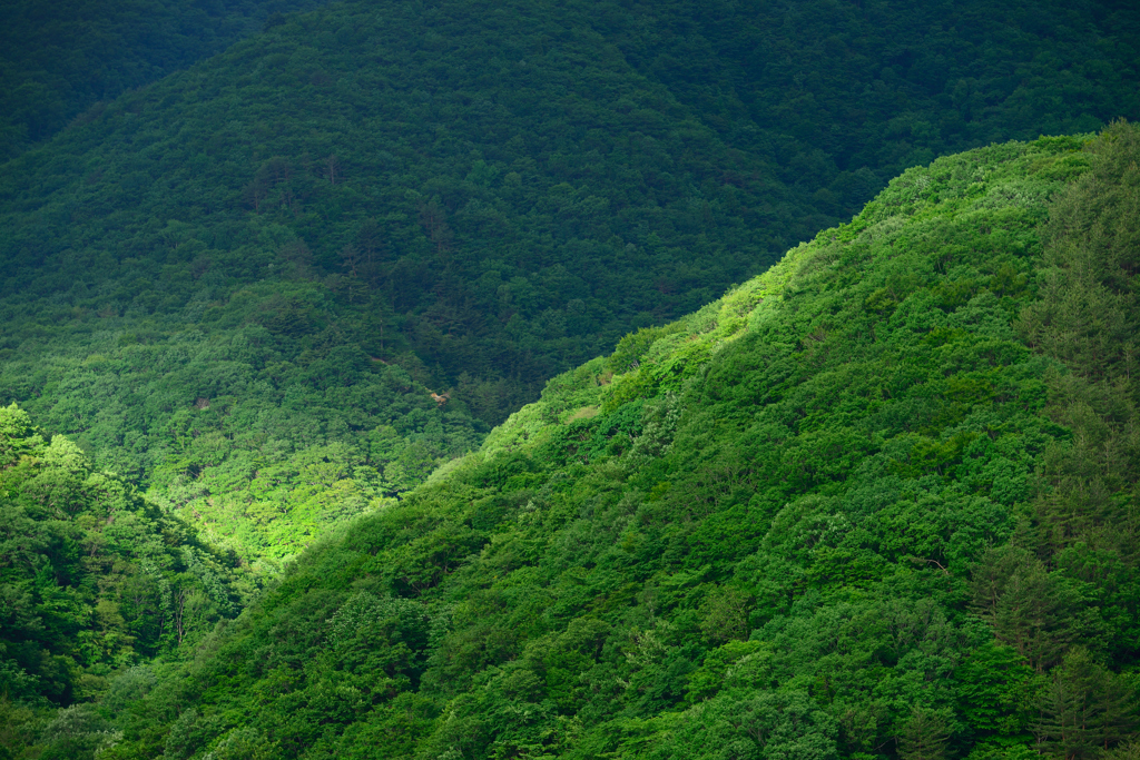 山あいスポットライト