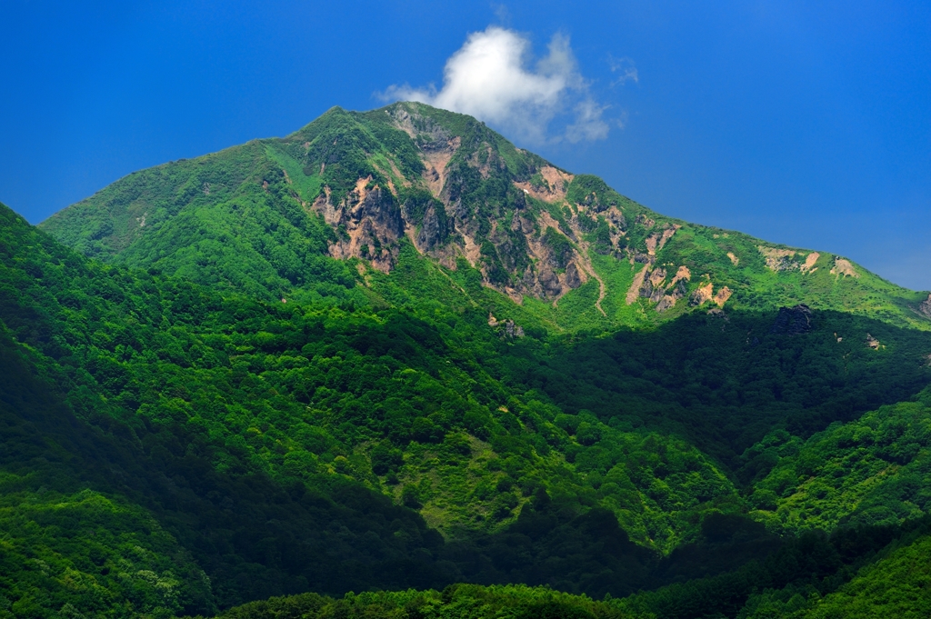 緑化した山頂