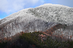 雪山⑥