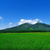 緑化Ⅳ