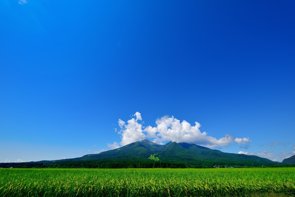 緑と大空と雲と