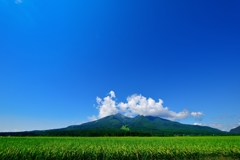 緑と大空と雲と