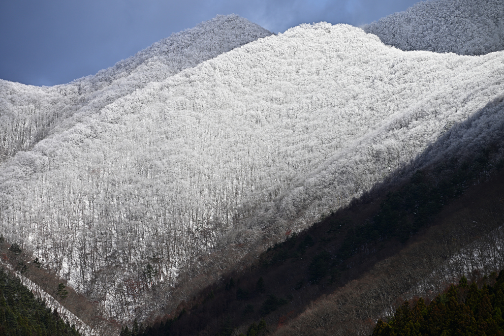 雪山⑨