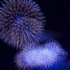 幽玄なる華