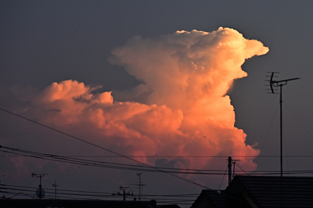 窓の外の風景5