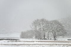 降雪