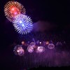 暗闇照らす華