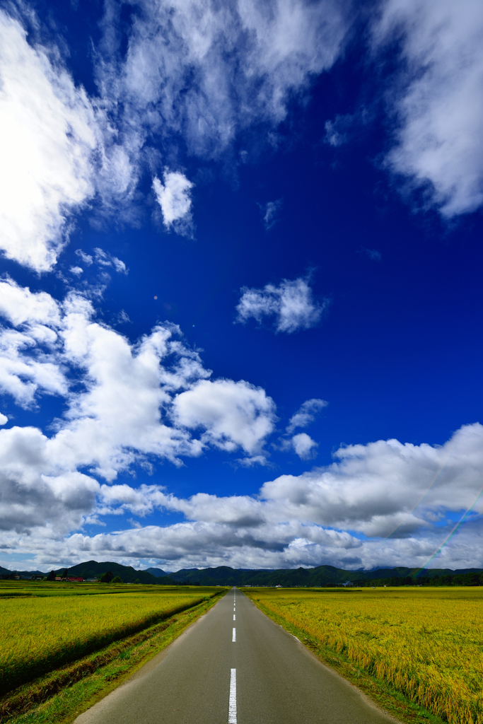 秋空Ⅱ