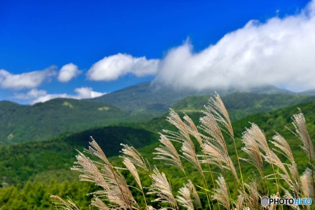 山あいを渡る風