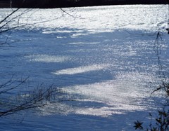 湖水に風を映す冬日